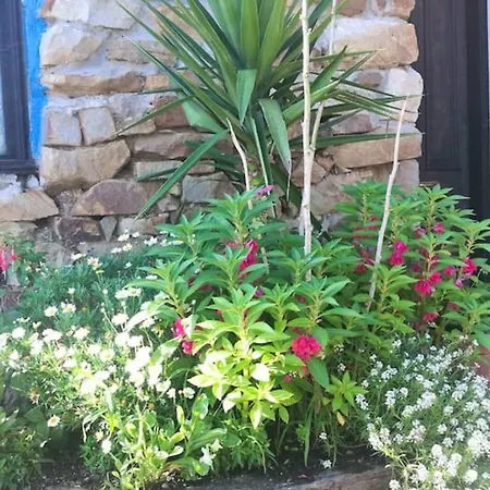 4 Bedrooms House With Terrace And Wifi At *